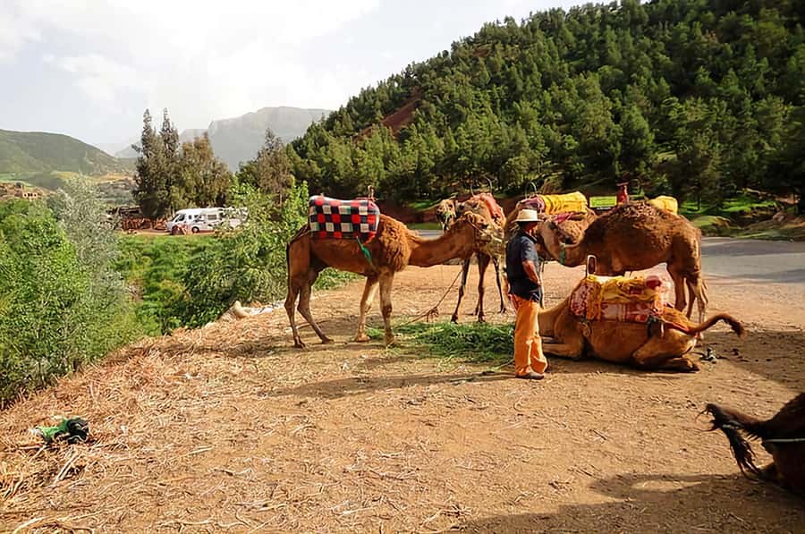 Ourika Valley, Atlas Mountains, Waterfalls & Guided Tour - What to pack for the mountain day
