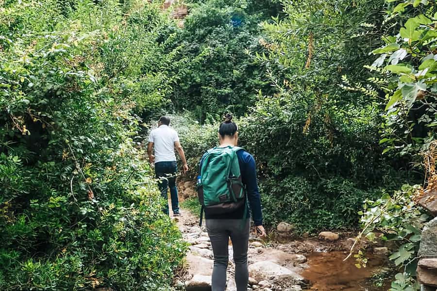 Ourika Valley, Atlas Mountains, Waterfalls & Guided Tour - The argan oil cooperative and the shopping question