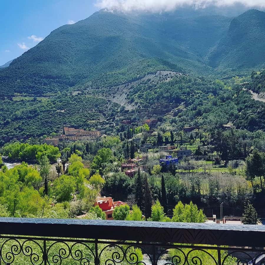Ourika Valley Waterfalls Day Trip From Marrakech - Who will enjoy this Ourika Valley outing