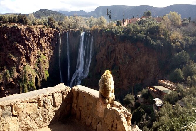 Ouzoud Waterfalls Full Day Trip From Marrakech - The optional boat ride at the base