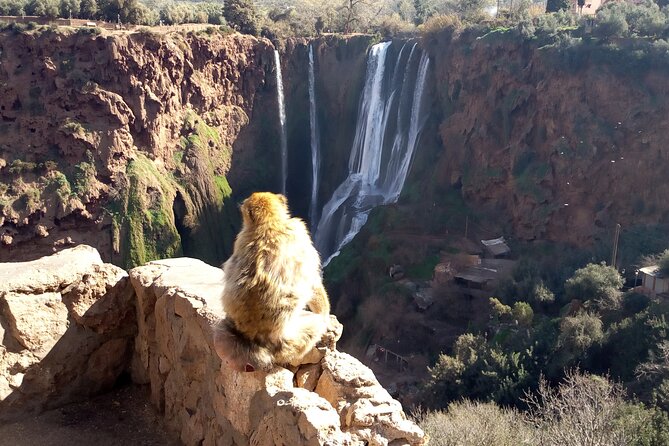 Ouzoud Waterfalls Full Day Trip From Marrakech - The return through Tamlalte