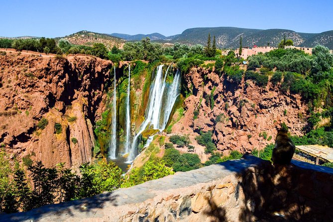 Ouzoud Waterfalls Guided Hike and Boat Trip from Marrakech - Lunch overlooking Ouzoud Falls