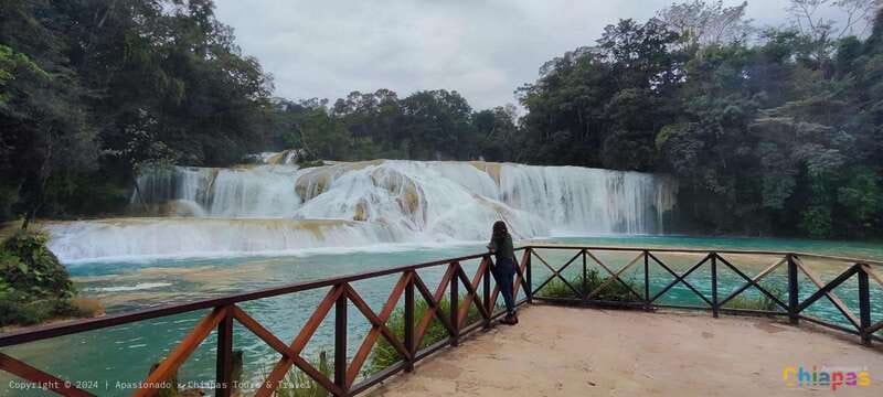 Palenque: Palenque Ruins, Agua Azul Waterfalls and Misol-Ha - Should you book the Palenque and waterfalls tour?