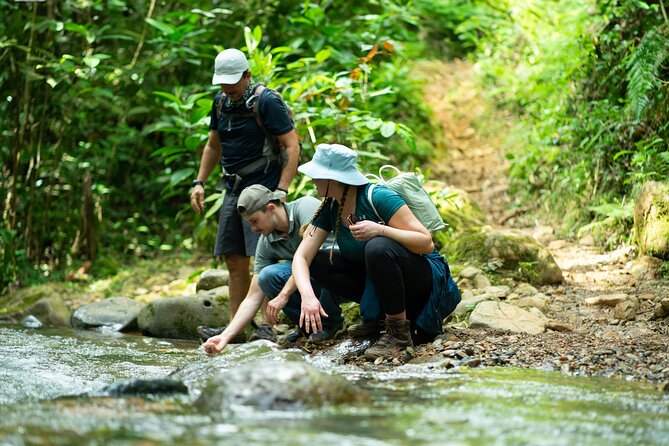 Pance Waterfalls: Hike to discover the biodiversity of the valley - Four hours above the Pance River