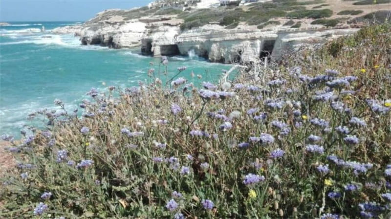 Paphos: Akamas, Waterfalls & Blue Lagoon of Aphrodite Tour - Why this Akamas day works so well