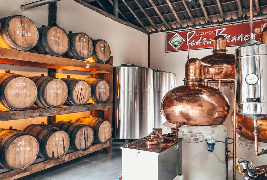 Paraty: Jungle Waterfalls and Cachaça Distillery Jeep Tour - Who should book this Paraty jeep tour?
