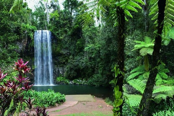 Paronella Park and Millaa Millaa Falls Full-day Tour from Cairns - A brief look at Innisfail