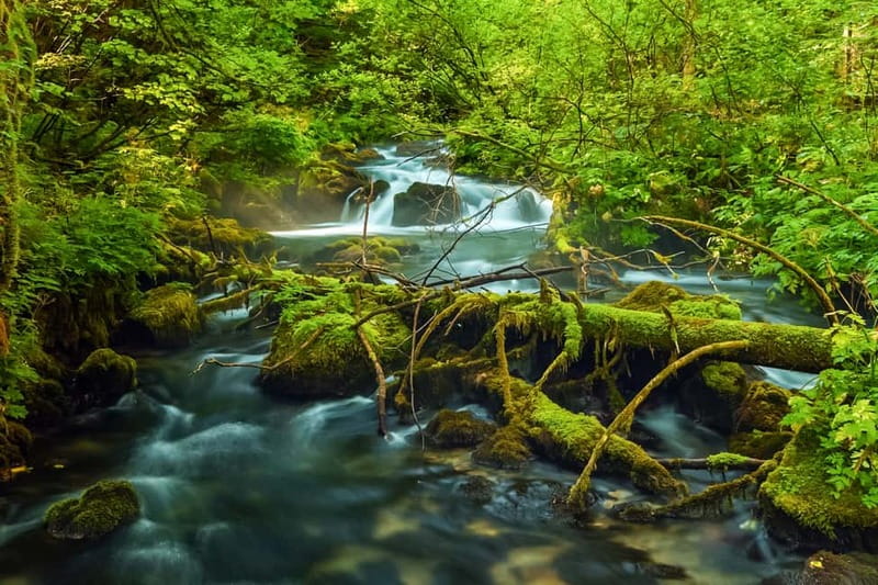 Plitvice Lakes: Guided Walking Tour with Bus and Boat Ride - Meeting at Entrance 1 and getting oriented