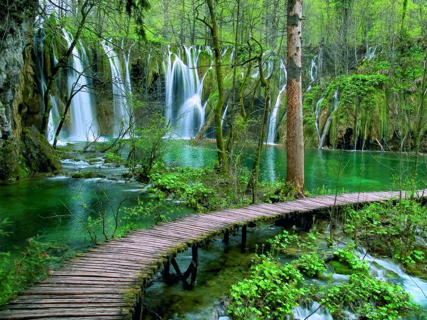 Plitvice Lakes National Park: Private Tour from Zadar - Is This Plitvice Tour Right for You?