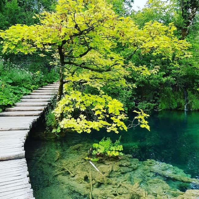 Plitvice Lakes National Park: Walking, Boat, and Train Tour - Starting at Entrance 1 and reaching the Lower Lakes