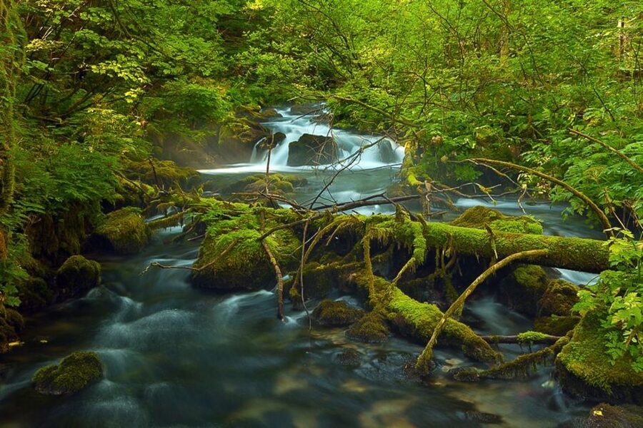 Plitvice Lakes Private Guided Tour - The guides and the personal touch