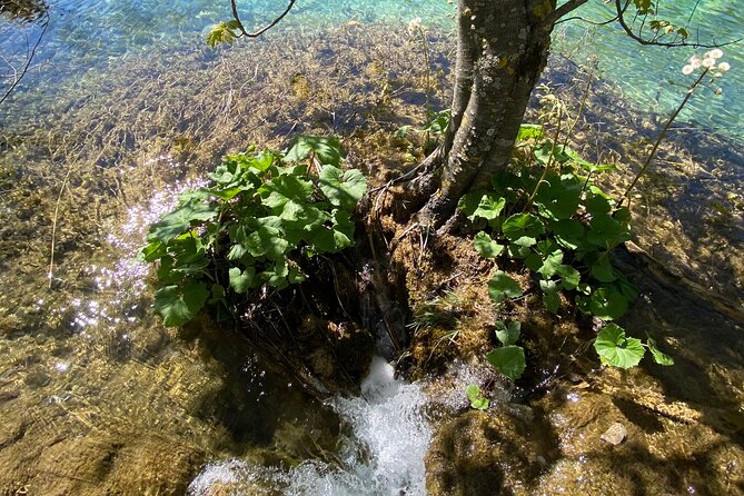 Plitvice private tour driver + guide up to 8 ppl from Zadar - A guide who is also your driver