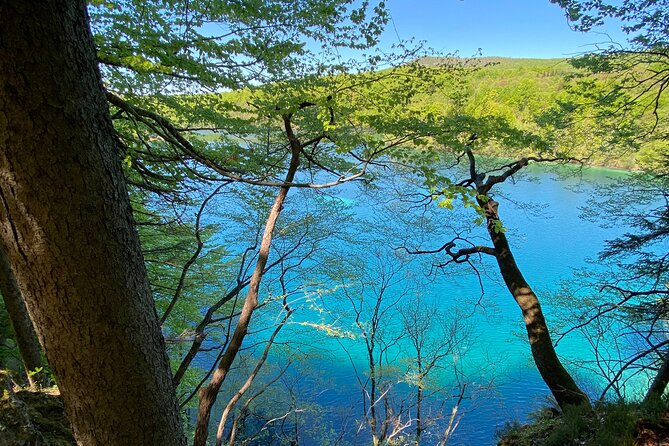Plitvice private tour driver + guide up to 8 ppl from Zadar - Cruise passengers should plan backward from departure