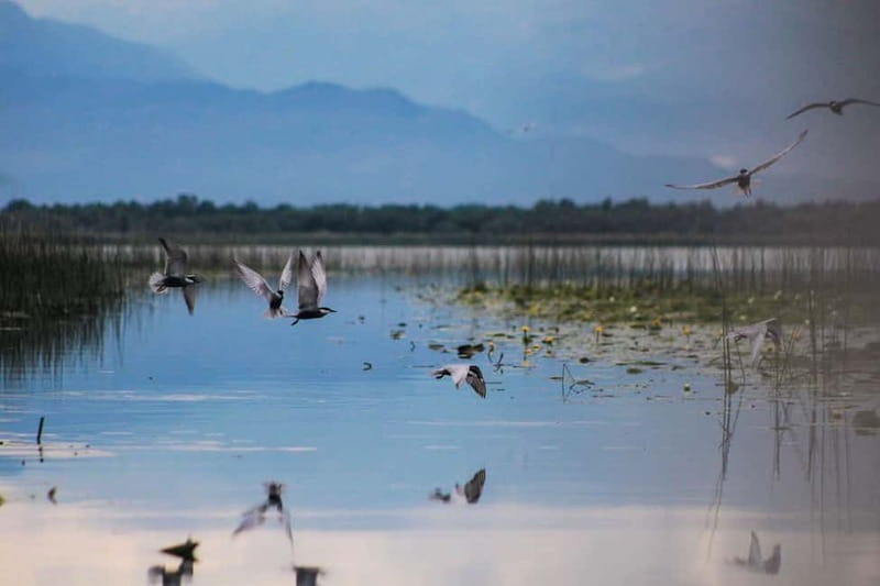 Podgorica: Ostrog, Niagara, and Skadar Lake Private Tour - Timing, crowds, and the best day to go