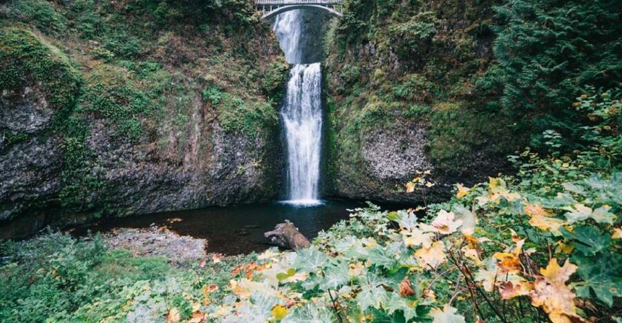 Portland: Columbia River Gorge Waterfalls Afternoon Tour - Latourell Falls: a closer look at the water