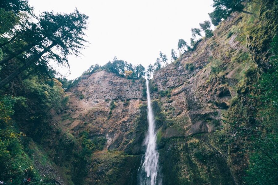 Portland: Columbia River Gorge Waterfalls Afternoon Tour - The guide makes the difference