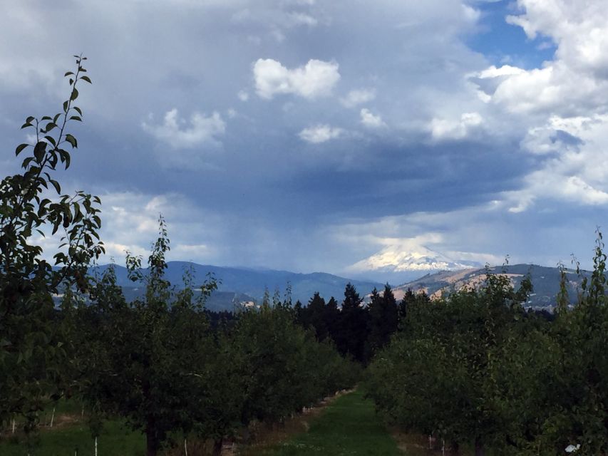 Portland: Mount Hood Wine and Waterfalls Full-Day Tour - Should you book the Mount Hood wine and waterfalls tour?