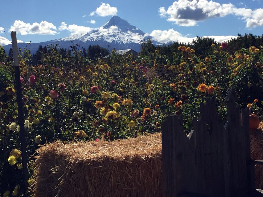 Portland: Mount Hood Wine and Waterfalls Full-Day Tour - Hood River Valley wineries and a proper lunch