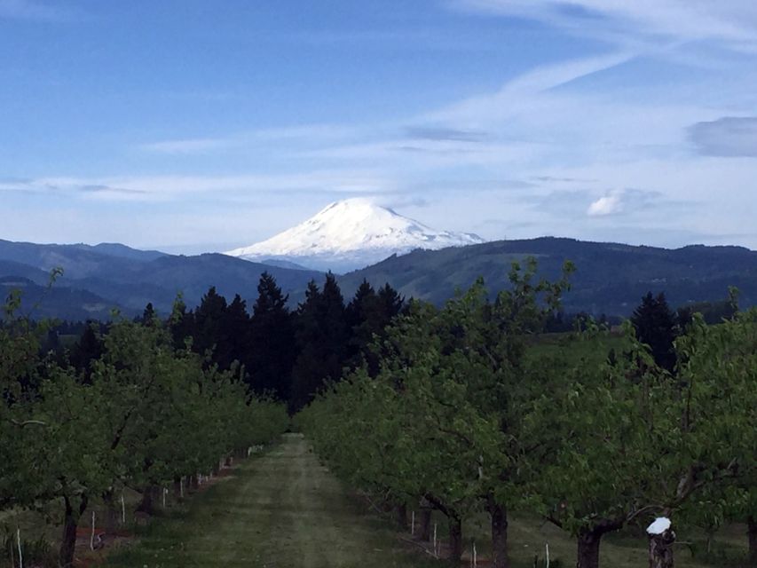 Portland: Mount Hood Wine and Waterfalls Full-Day Tour - What $179 buys you