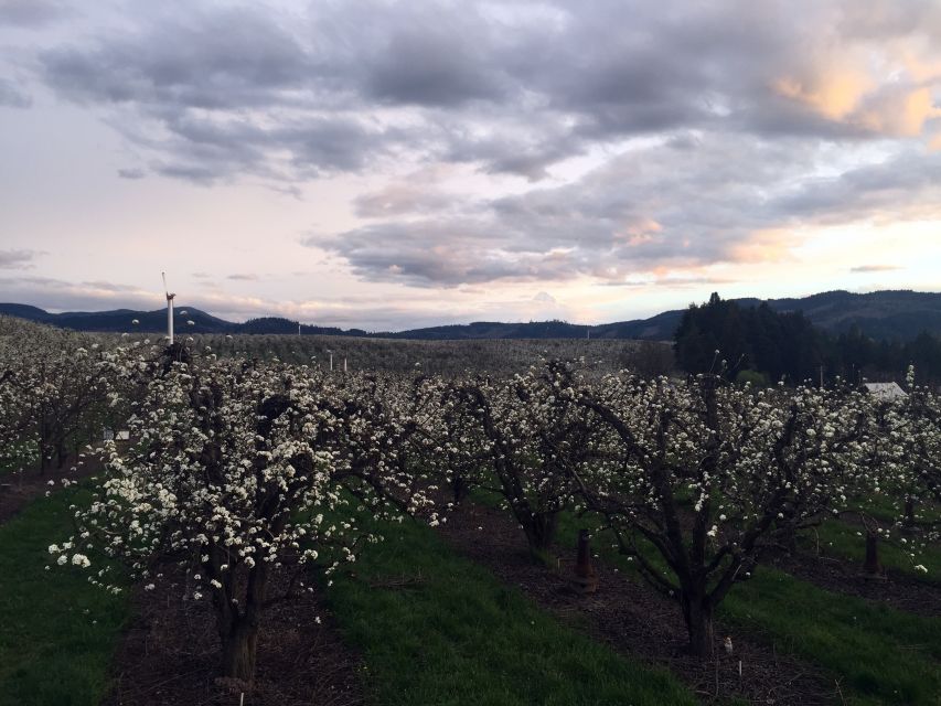 Portland: Mount Hood Wine and Waterfalls Full-Day Tour - Who will enjoy this tour most