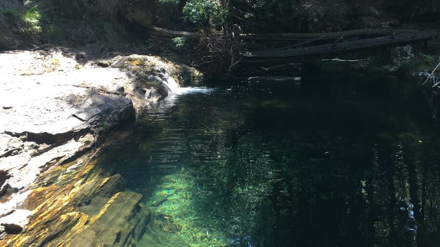 Porto and North coast Exclusive & Secret Waterfalls in 4x4 - A Portuguese tavern, tapas, and vinho verde