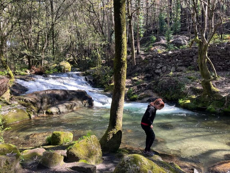 Porto: Forest Waterfalls & Roman Ruins Trail Tour - From Porto’s city center to Monte Córdova