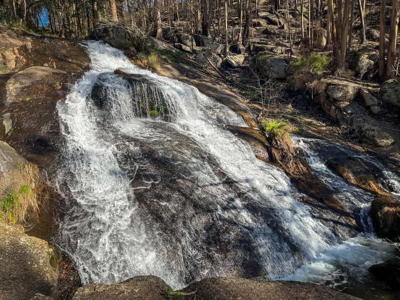 Porto: Forest Waterfalls & Roman Ruins Trail Tour - Castro do Monte Padrão and its Roman-era remains