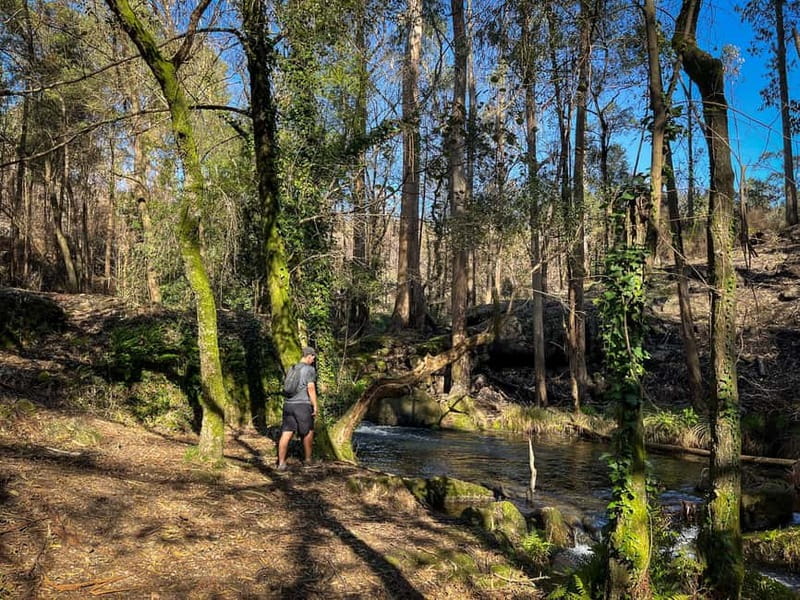 Porto: Forest Waterfalls & Roman Ruins Trail Tour - Fitness, clothing, and practical limits