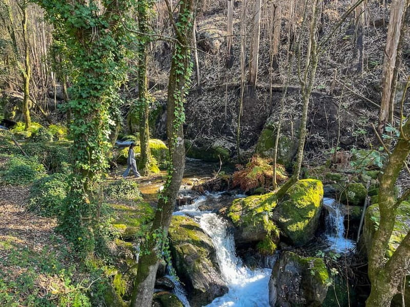 Porto: Forest Waterfalls & Roman Ruins Trail Tour - Should you book the Forest Waterfalls and Roman Ruins Trail?