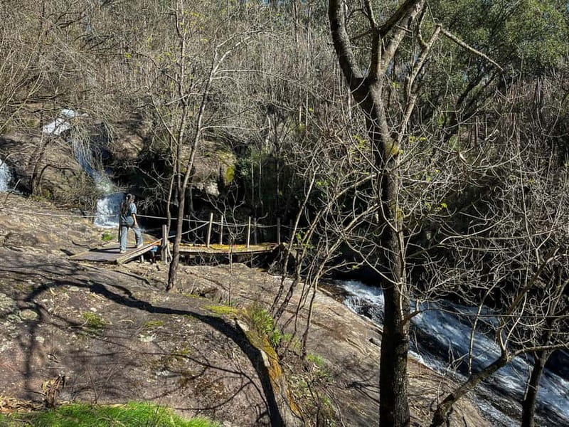 Porto: Forest Waterfalls & Roman Ruins Trail Tour - FAQ