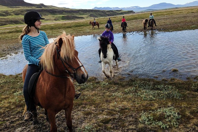 Private 3-Hour Horseback Riding Tour - What makes this Icelandic horse ride different