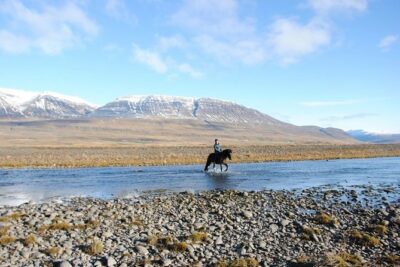 Private 3-Hour Horseback Riding Tour