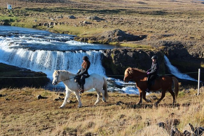 Private 3-Hour Horseback Riding Tour - Why the private format is worth the price