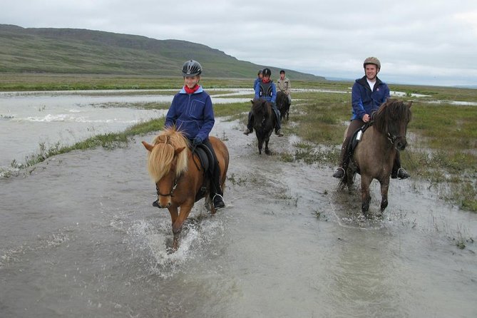 Private 3-Hour Horseback Riding Tour - Tölt, faster riding, and what the pace feels like