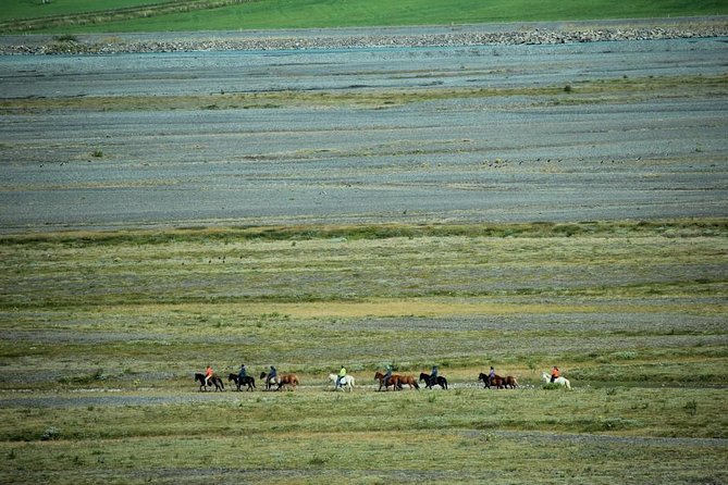 Private 3-Hour Horseback Riding Tour - Weather, comfort, and the practical side