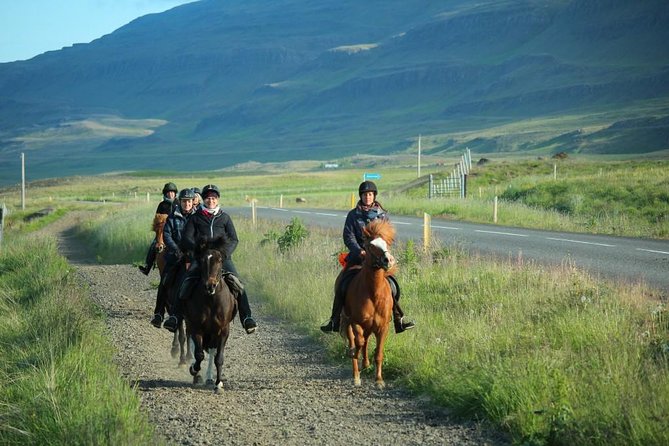 Private 3-Hour Horseback Riding Tour - Who will enjoy this ride most