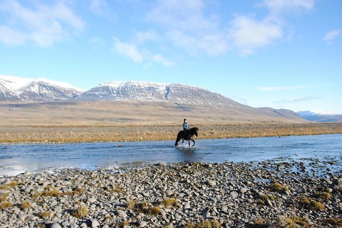 Private 3-Hour Horseback Riding Tour - The first minutes: matching riders and horses