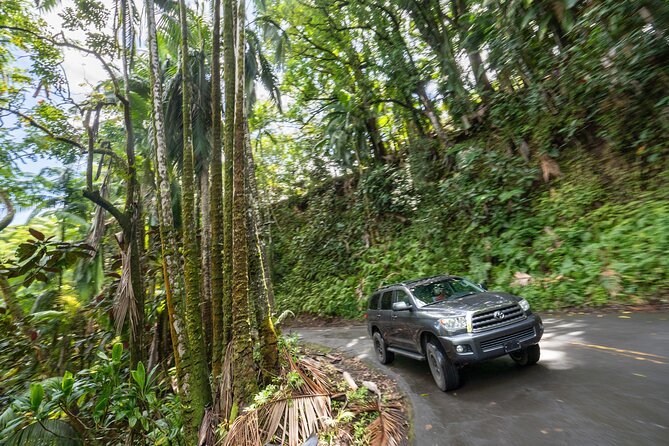Private - All Inclusive Big Island Volcano & Waterfalls Tour - Steaming Bluff and the heat below your feet
