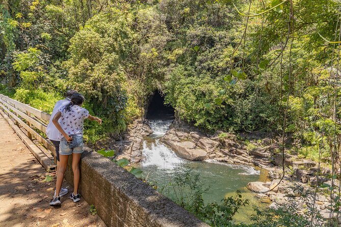 Private - All Inclusive Big Island Volcano & Waterfalls Tour - Walking through Thurston Lava Tube
