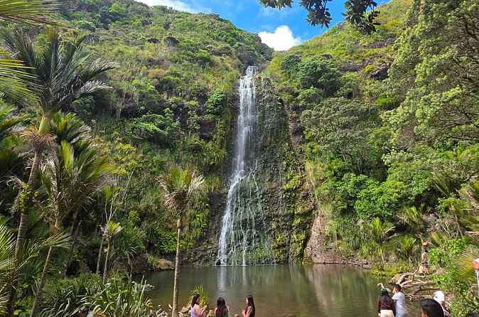 Private Auckland West Coast Tour Piha Beach and Karekare Falls - Piha Beach delivers Auckland’s black-sand coast