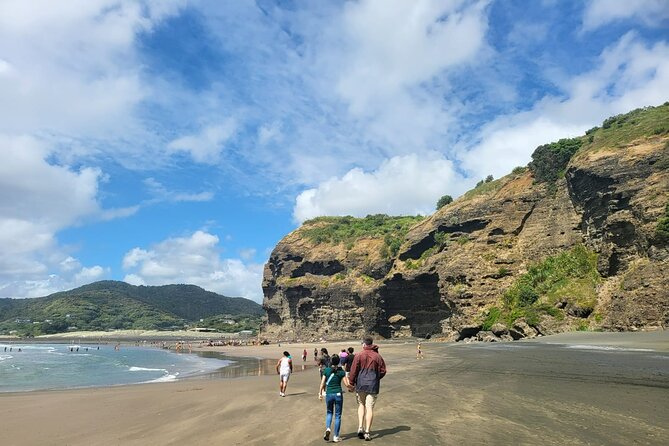 Private Auckland West Coast Tour Piha Beach and Karekare Falls - What the price includes, and what it does not