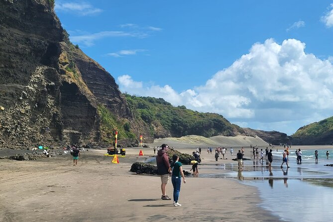 Private Auckland West Coast Tour Piha Beach and Karekare Falls - Who will enjoy this west coast outing