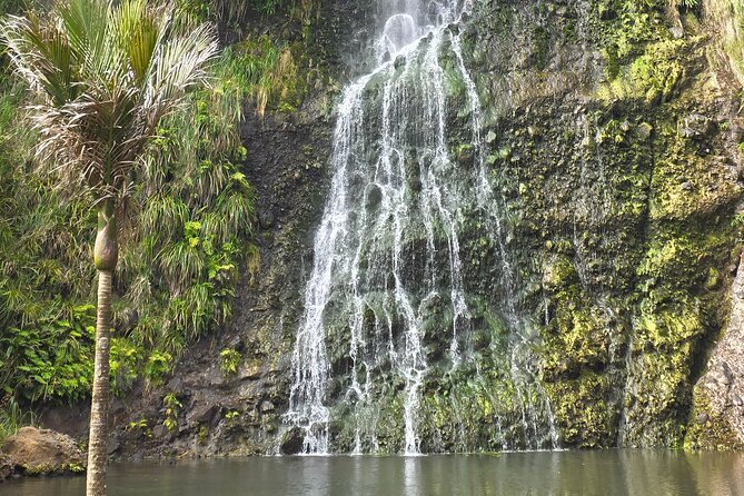 Private Auckland West Coast Tour Piha Beach and Karekare Falls - Karekare Falls brings rainforest close to the road