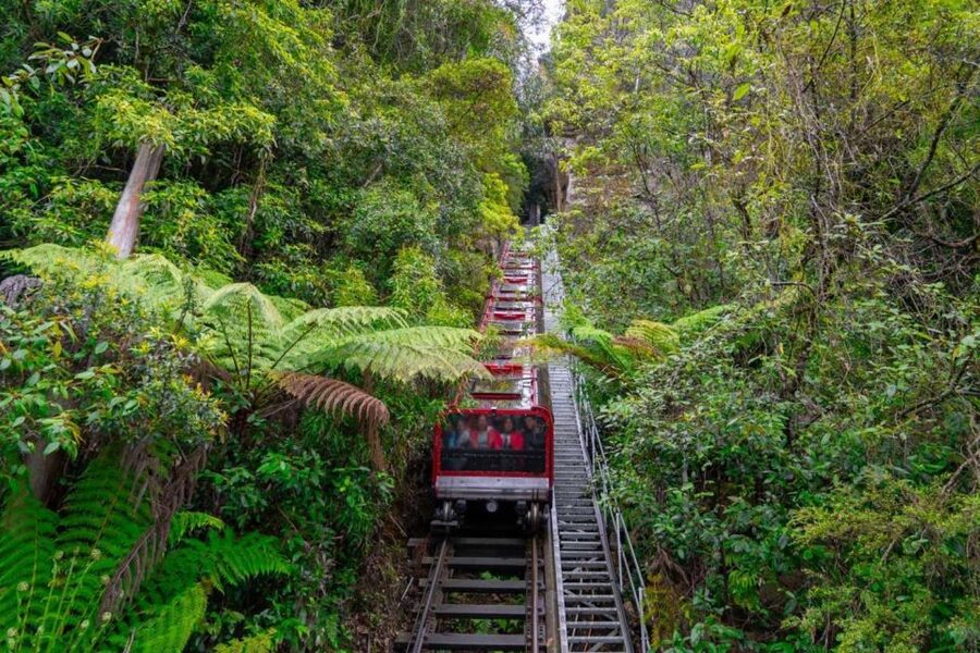 Private Blue Mountains, Scenic World & Wentworth Falls Tour - What the $884 price really buys