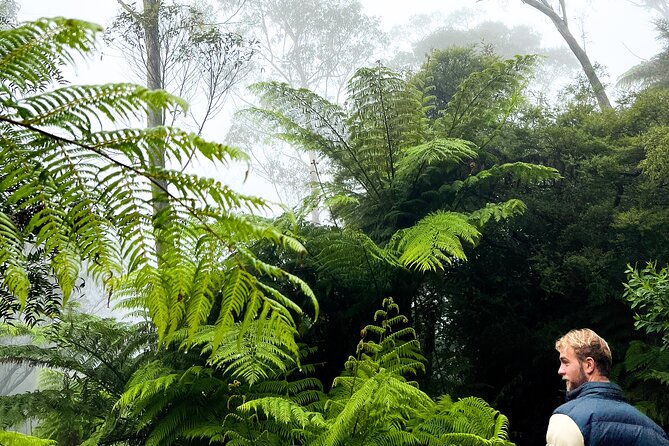Private Blue Mountains Tour | Waterfalls, Koalas & Views - The Three Sisters is the essential postcard stop