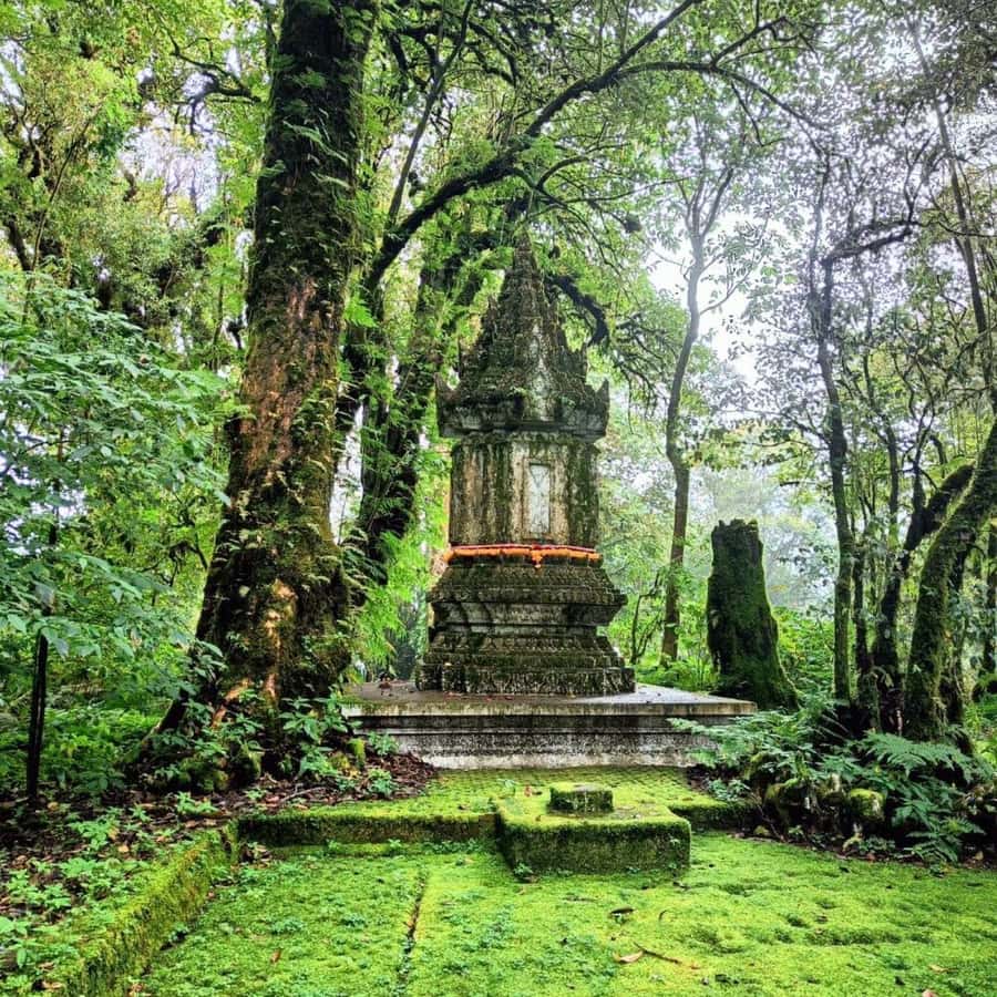 Private Day Tour Doi Inthanon With Mae Ya Waterfall - Is $151 per person a fair price?