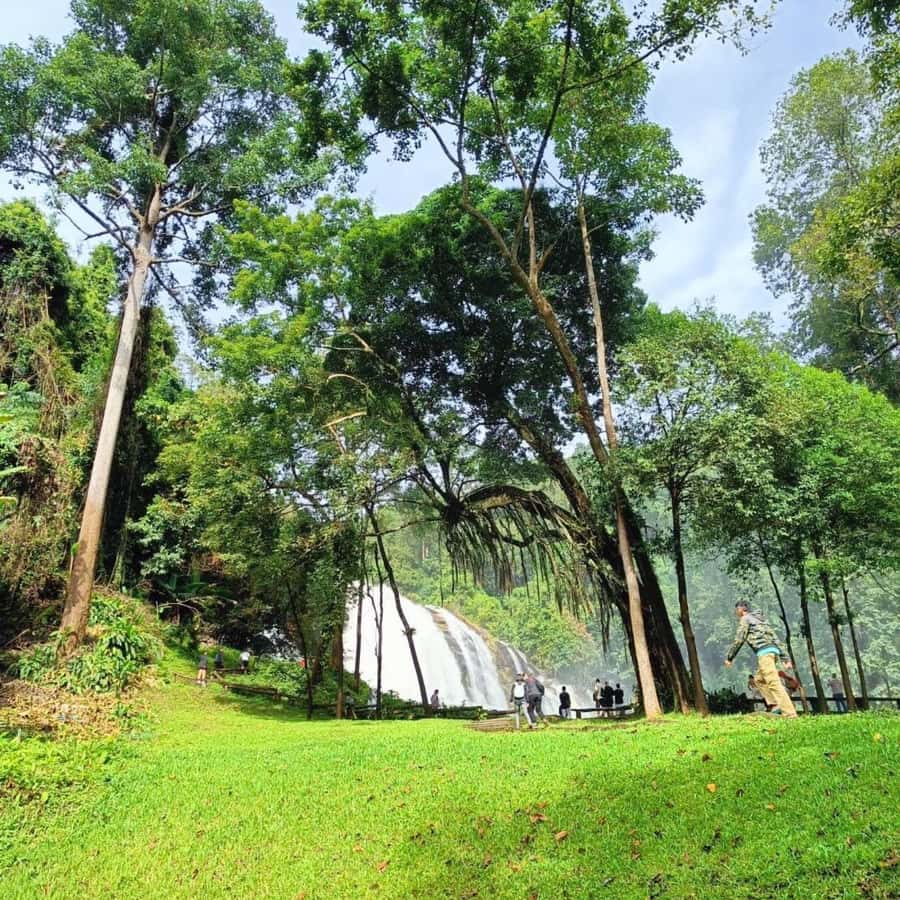 Private Day Tour Doi Inthanon With Mae Ya Waterfall - Mae Ya Waterfall closes the day well