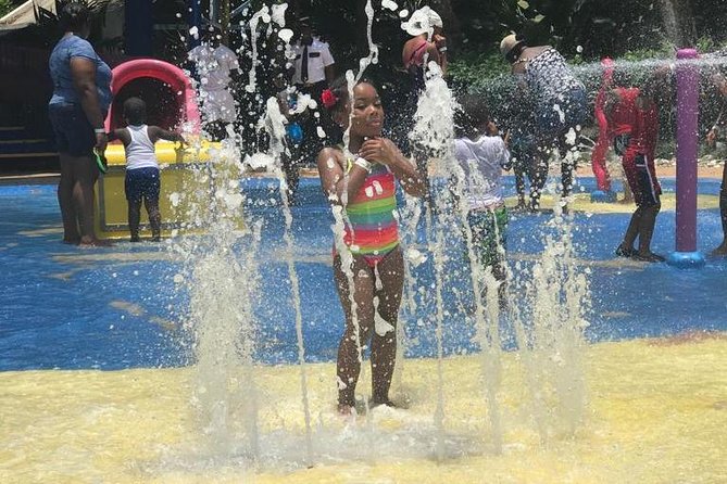 [PRIVATE] Dunn's River Falls with Entrance Fees - Lunch, jerk chicken, and Ocho Rios time