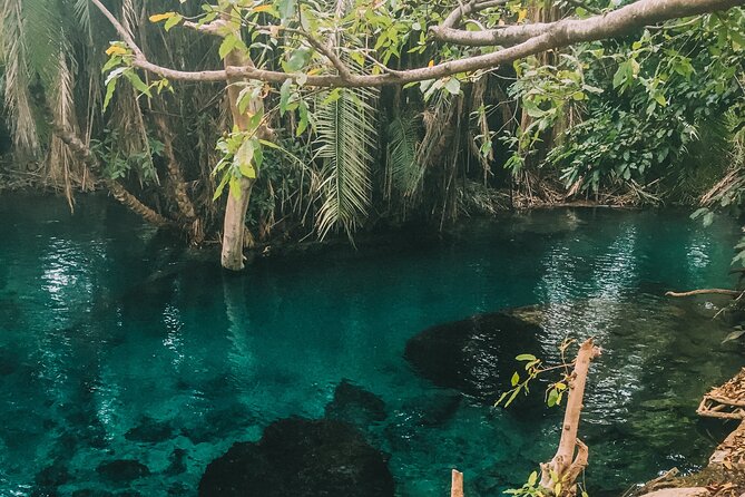 Private Full-Day Materuni Waterfalls and Kikuletwa Hotspring - A full day linking Materuni, coffee, and Kikuletwa