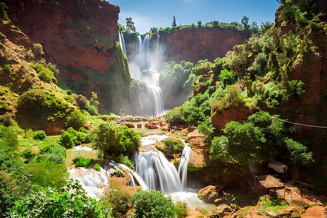Private Full Day Tour Ouzoud Waterfalls from Marrakech - Barbary macaques and the monkey encounters